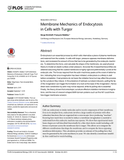Membrane Mechanics of Endocytosis in Cells with Turgor