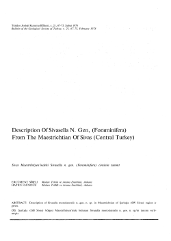 Description Of Sivasella N. Gen, (Foraminifera) From The