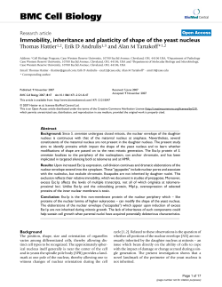 Immobility, inheritance and plasticity of shape of the yeast nucleus