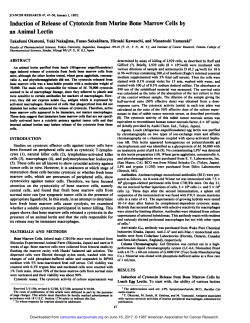 Induction of Release of Cytotoxin from Murine Bone Marrow Cells by