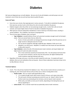 Diabetes - All Feline Hospital