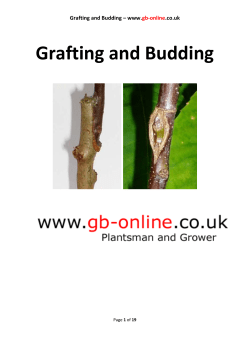 Grafting and Budding - gb