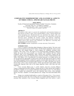 comparative morphometric and anatomical aspects of three citrus l