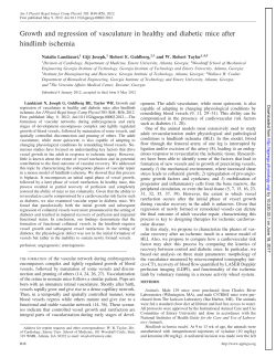 Growth and regression of vasculature in healthy and diabetic mice