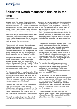 Scientists watch membrane fission in real time