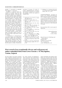 First record of an exceptionally diverse and well preserved amber