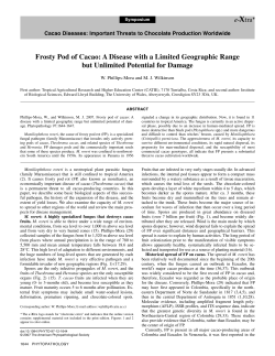 Frosty Pod of Cacao - World Cocoa Foundation