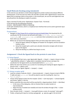 Small Molecule Docking using Autodock4 Assignment 1 - IFM