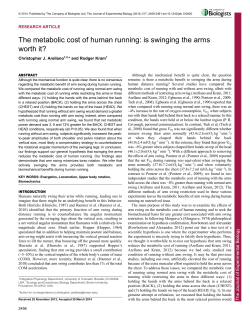 The metabolic cost of human running: is swinging the arms worth it?