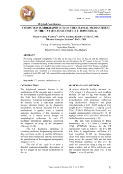 computed tomography (ct) of the cranial mediastinum in the cat (felis