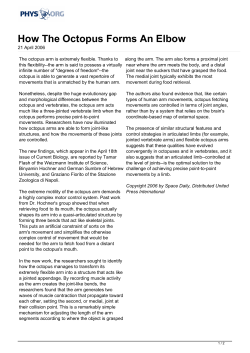 How The Octopus Forms An Elbow