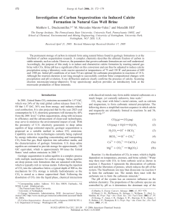 Investigation of Carbon Sequestration via Induced Calcite Formation