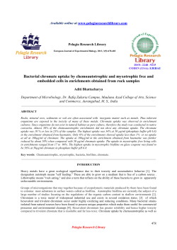 Bacterial chromate uptake by chemoautotrophic and