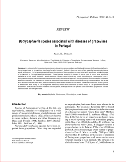Phytopathologia mediterranea - 2002 - 41, 1
