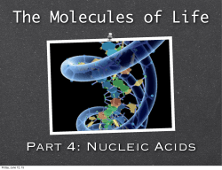 Nucleic Acids - WordPress.com