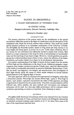 flight in drosophila - Journal of Experimental Biology