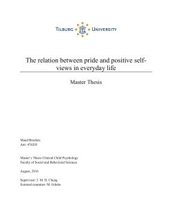 The relation between pride and positive self