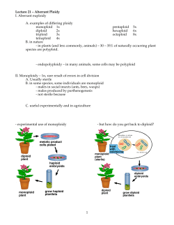 1 Lecture 21 &ndash; Aberrant Ploidy I. Aberrant euploidy A. examples of