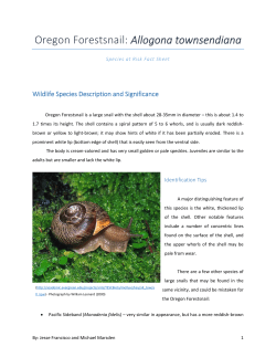 Oregon Forestsnail Fact Sheet
