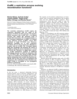 EcoRII: a restriction enzyme evolving recombination functions?