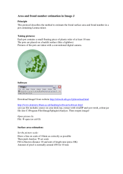 Area and frond number estimation in Image J