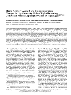 Plants Actively Avoid State Transitions upon Changes in Light