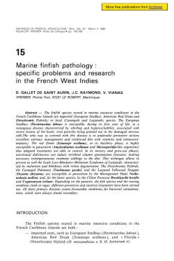 Marine finfish pathology : specific problems and - Archimer