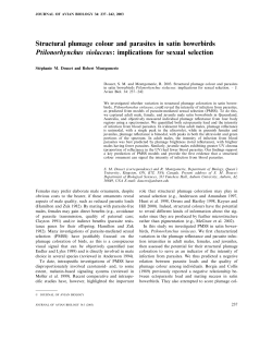 Structural plumage colour and parasites in satin bowerbirds