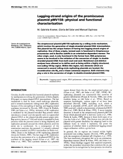 Lagging-strand origins of the promiscuous plasmid
