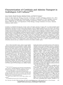 Characterization of Cytokinin and Adenine