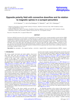 Opposite polarity field with convective downflow and its relation to