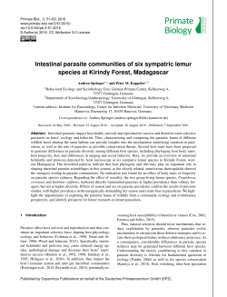 Intestinal parasite communities of six sympatric lemur