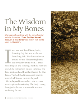 The Wisdom in My Bones - Zenju Earthlyn Manuel