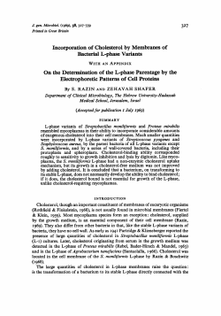 Incorporation of Cholesterol by Membranes of