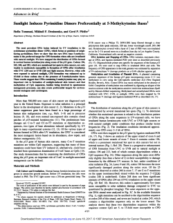Sunlight Induces Pyrimidine Dimers