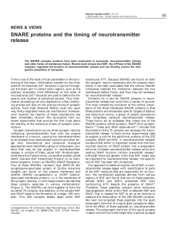 SNARE proteins and the timing of neurotransmitter release