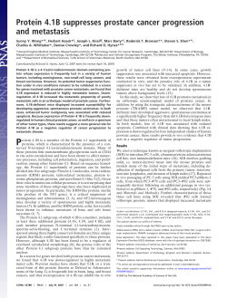 Protein 4.1B suppresses prostate cancer progression and