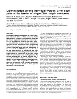 Discrimination among individual Watson&plusmn;Crick base pairs at the