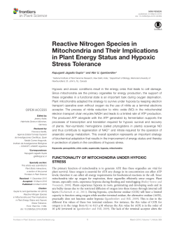 Reactive Nitrogen Species in Mitochondria and Their Implications in