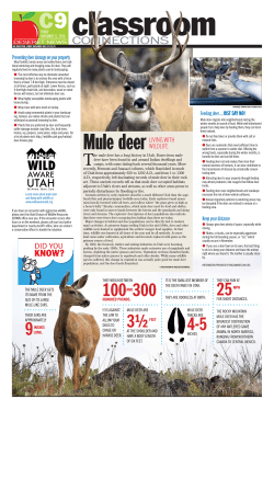 Classroom Connections - Mule Deer