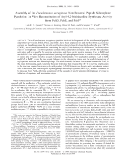 Assembly of the Pseudomonas aeruginosa Nonribosomal Peptide