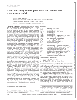 a vasa recta model - AJP