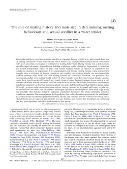 The role of mating history and male size in