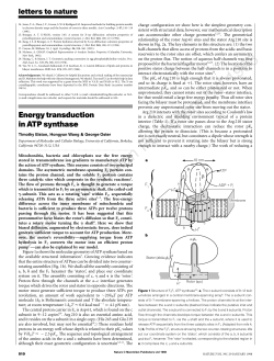 Energy transduction in ATP synthase