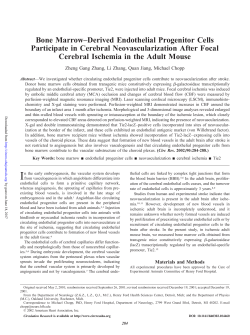 Bone Marrow&ndash;Derived Endothelial Progenitor Cells Participate in