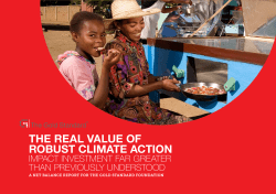 The Real Value of Robust Climate Action