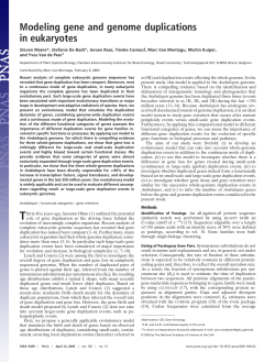 Modeling gene and genome duplications in eukaryotes