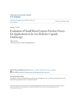 Evaluation of Small Bowel Lumen Friction Forces for