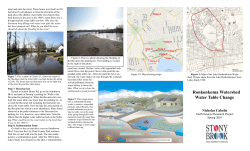 Ronkonkoma Watershed Water Table Change