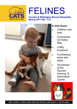 felines - Cats Protection
